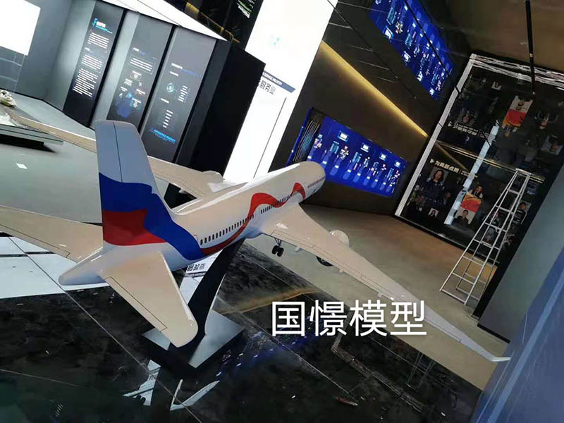 扶绥县飞机模型